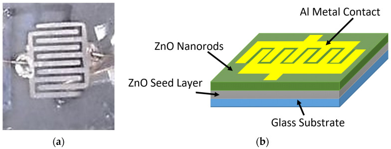 (a) Graphical image and (b) schematic illustration for the fabricated UV photodetectors (PDs).