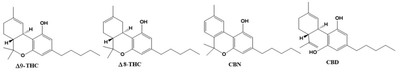 Chemical structures of the phytocannabinoids Δ9–tetrahydrocannabinol (Δ9-THC), Δ8–THC, cannabinol (CBN) and cannabidiol (CBD).