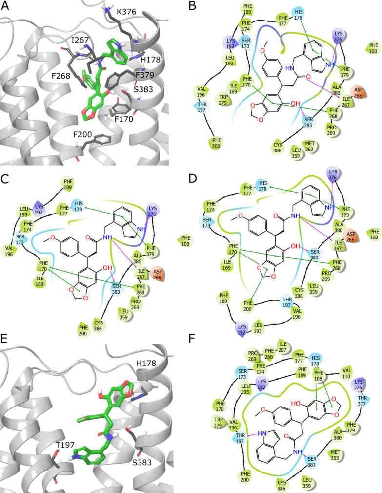 Putative binding modes of compound 32 (ZINC000824654462). (A) The more prevalent pose, obtained from docking with Glide XP with constraints on forming an H-bond with Ser383. 2D interaction schemes from docking with Glide XP with constraints (B), SP (C), and SP with constraints (D). Panels E, F show the second pose encountered in complex from Glide XP docking. Ligands are depicted in green stick representation, amino acids that are crucial for ligand binding—grey stick representation. Purple arrow—H-bond; green line—π–π interaction. Part of TM6 not shown to increase readability.