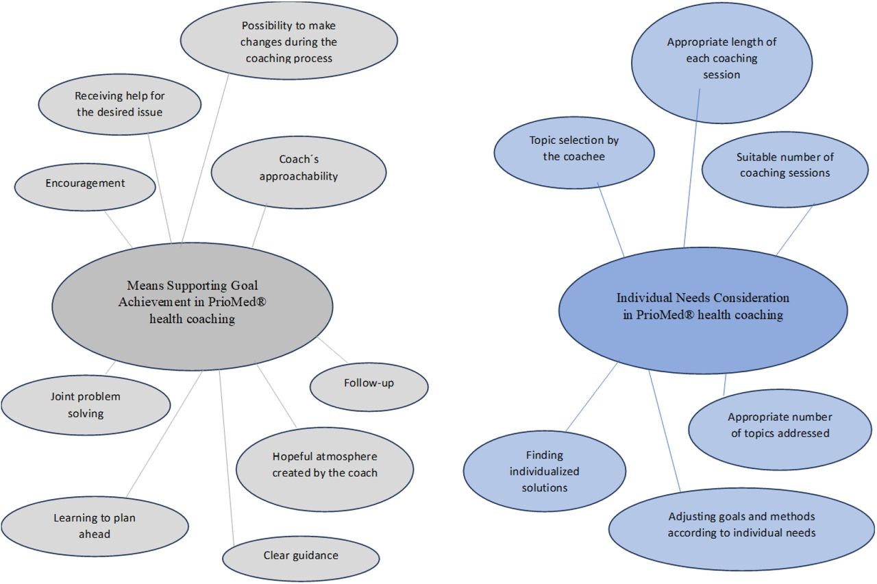 Factors Supporting Goal Achievement and Individual Needs Consideration in PrioMed® Health Coaching