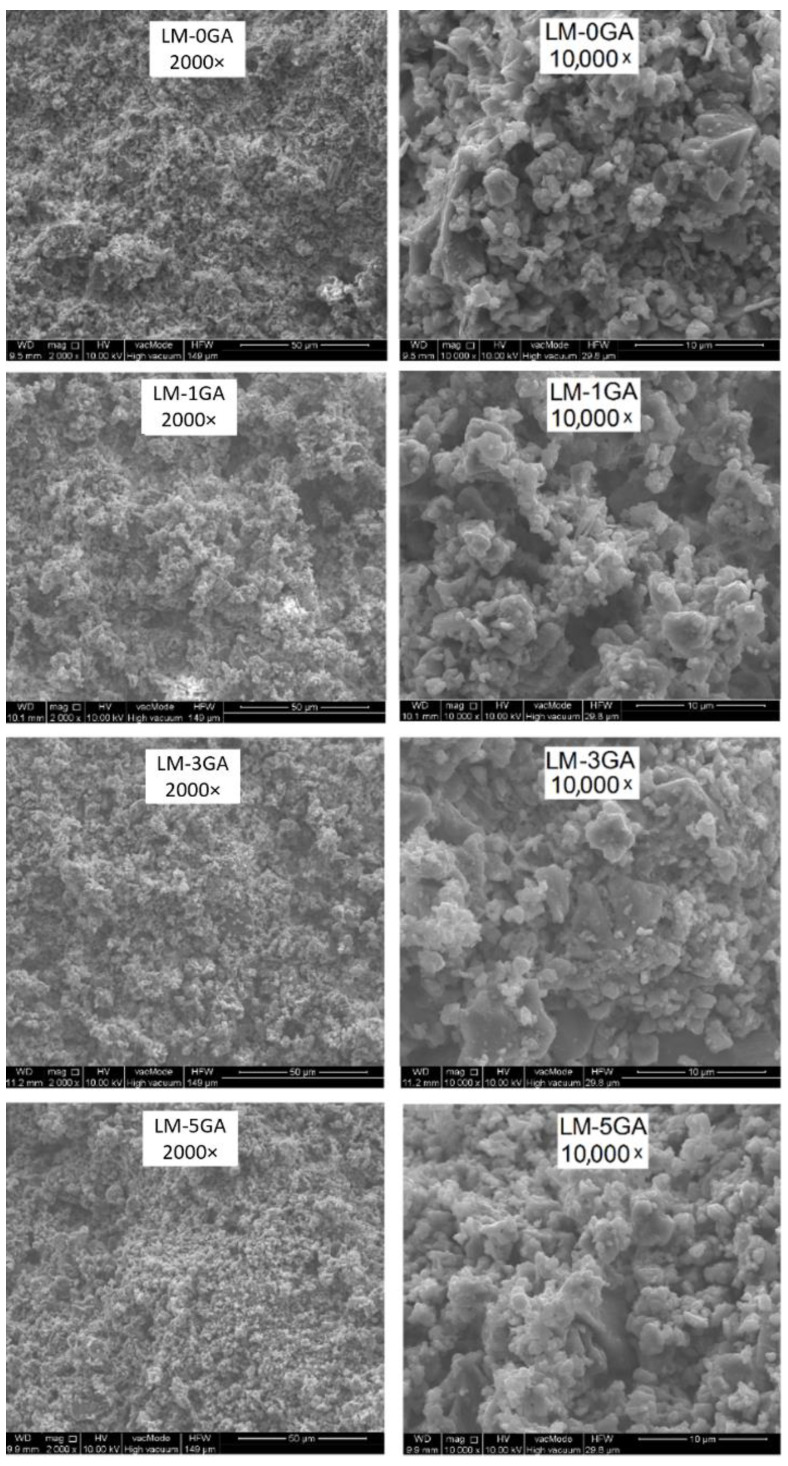 SEM images of paste samples.
