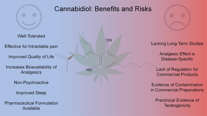 Pros and cons of cannabidiol use in chronic pain.