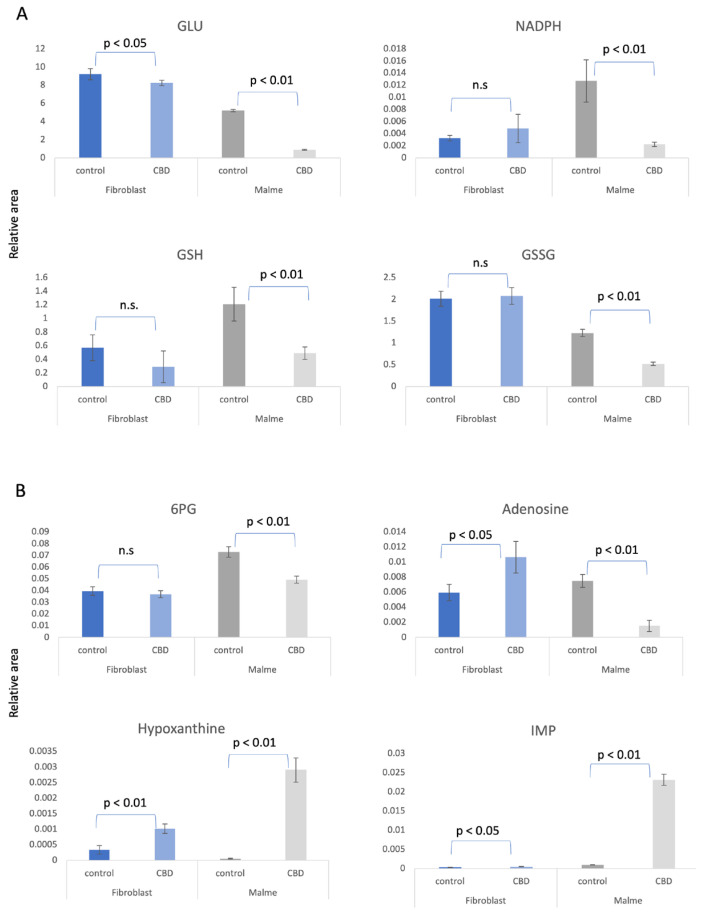 (A) Treatment for 72 h with CBD results in potential oxidative stress or greater susceptibility to oxidative stress in malignant Malme-3M cells only. Glutamate (GLU) was significantly reduced in Malme-3M cells, resulting in a significant reduction in both oxidized and reduced glutathione (GSSG, GSH, respectively), likely affecting de novo glutathione synthesis. Nicotinamide adenine dinucleotide phosphate (NADPH), which is required for GSH regeneration, was also significantly reduced in Malme-3M only. The pentose phosphate pathway and de novo purine synthesis is differentially regulated by CBD in BJ fibroblasts vs. Malme-3M cells. (B) As a result of a likely increase in glycolytic activity in the Malme-3M cells, glucose carbons are shunted away from the PPP to accommodate this increased demand for ATP, as shown by a significant decrease in 6PG, the first metabolite of the PPP. This results in an overall decrease in de novo purine synthesis, as shown in a dramatic decrease in adenosine levels. The nucleotide salvage pathway can potentially recycle purine bases to maintain some level of de novo purine synthesis. We see hypoxanthine and IMP, a product recycled from hypoxanthine, is elevated in Malme-3M + CBD, suggesting nucleotide salvage is activated in the Malme-3M cells. In contrast, we see elevations of all the purine metabolites in the BJ fibroblasts, suggesting de novo purine synthesis may be slightly elevated. Metabolite measurements are represented as the average relative area under the curve of 3 independent replicates per measurement. p values represent the standard deviation of n = 3 for all samples, n.s., denotes not significant.