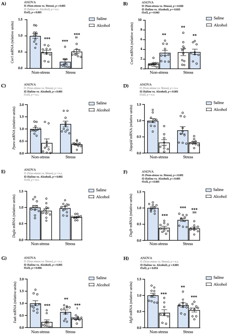 Relative mRNA expression levels of endocannabinoid-signaling genes in the amygdala of adult male rats after repeated restraint stress and/or intermittent alcohol exposure during adolescence. Relative mRNA expression of Cnr1 (A); Cnr2 (B); Ppara (C); Napepld (D); Dagla (E); Daglb (F); Faah (G); and Mgll (H) in male adult rats after repeated restraint stress (f1) and/or intermittent alcohol exposure (f2) during adolescence. Bars represent the mean ± SEM (9–10 rats/subgroup). Data were analyzed by two-way ANOVA. (**) q < 0.01 and (***) q < 0.001 denote significant differences compared with the non-stress saline subgroup, and ($) q < 0.05, ($$) q < 0.01 and ($$$) q < 0.001 denote significant differences compared with the stress saline subgroup using post hoc tests for multiple comparisons when an interaction between factors is found (f1 × f2). p-values in bold denote significant main effects of factors (f1 and f2) or significant interaction (f1 × f2).