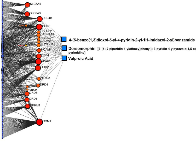 PCIs in a linear bi/tripartite model utilizing NetworkAnalyst and SGL members revealed important interacted compounds. Bigger red circles mean the gene with higher degree of betweeness (interactions). As it is obvious, Valproic acid is among the best-scored predicted for this PCI network.
