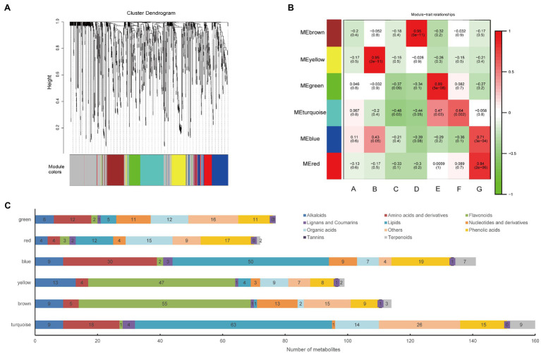 Correlation of metabolites with the hemp seed varieties based on WGCNA. (A) Clustering dendrogram of the average network adjacency for the identification of metabolite co-expression modules. Clustering dendrogram of metabolites, with dissimilarity based on topological overlap, together with assigned module colors. (B) Module-Variety associations. Each row corresponds to a module eigengene, column to a variety. Each cell contains the corresponding correlation and value of p. The table is color-coded by correlation according to the color legend. (C) Distribution of different types of metabolites in six modules.