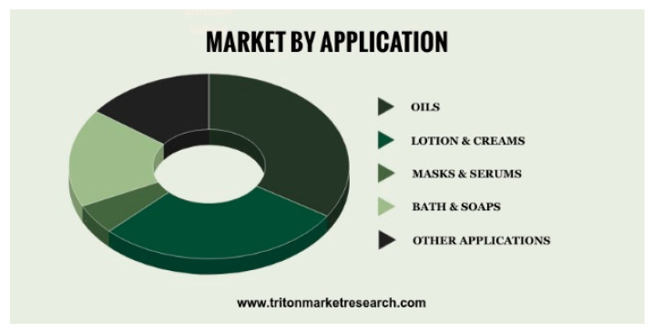Segmentation of CBD application in the cosmetic sector [20].