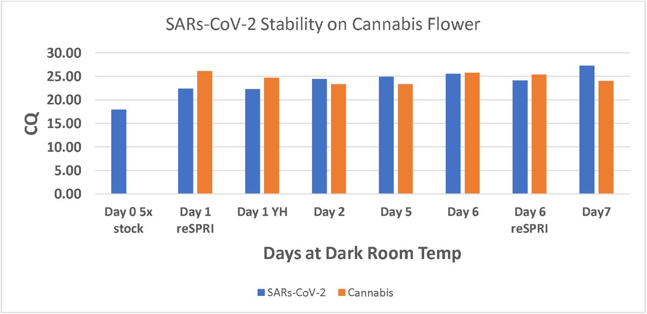 10 μL of a Gamma Irradiated SARs-CoV-2 (BEI Resources) was inoculated onto seven 1-gram non-sterile hemp flowers. Each sample was purified and assessed by qPCR run daily to quantitate RNA stability. Hemp flower was also assessed for Total Aerobic Count via qPCR and tested at over 1 million CFU/gram (data not shown).