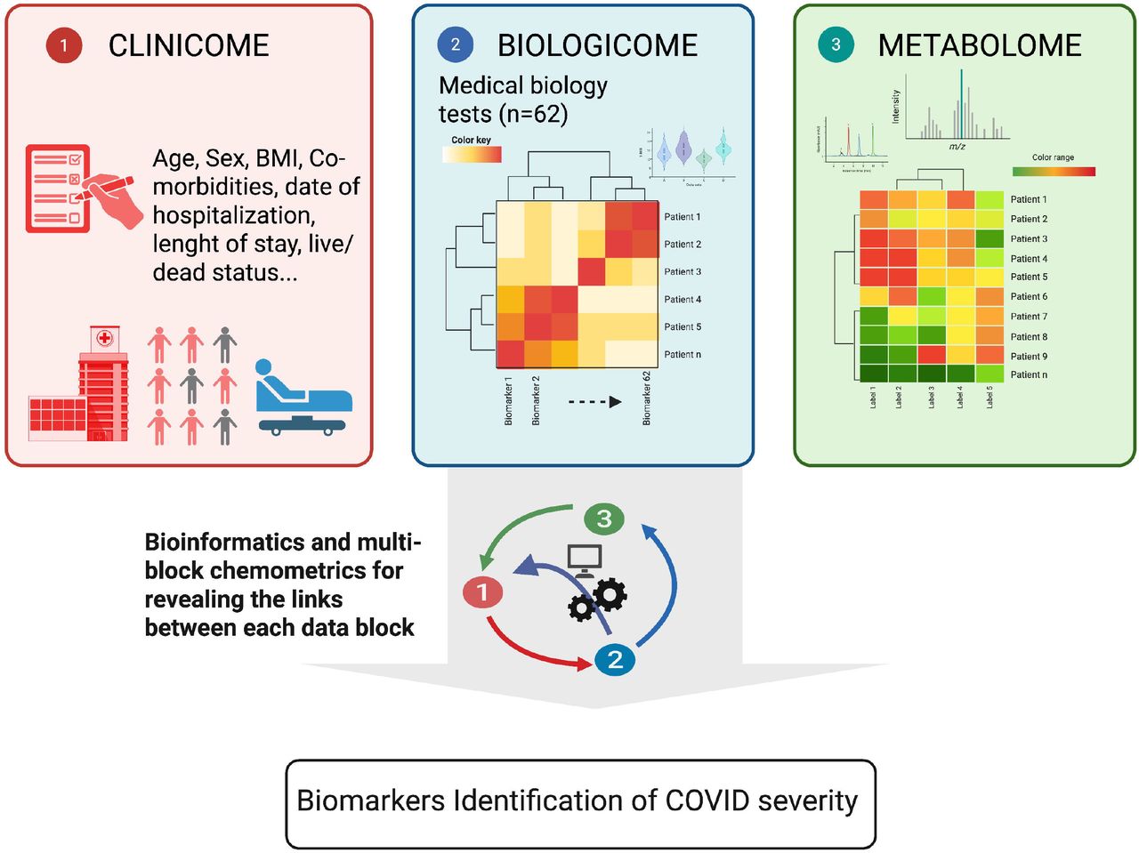 Study principle.Three data blocks, Metabolome (untargeted LC-MS/MS), Biologicome (routine laboratory tests), and Clinicome (clinical characteristics), are analyzed individually, then integrated using multi-block chemometrics to predict COVID-19 severity outcome. Created using BioRender (https://BioRender.com).