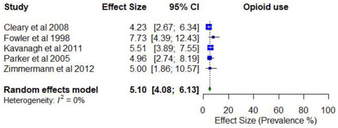 Prevalence of past 12-month opioid use.