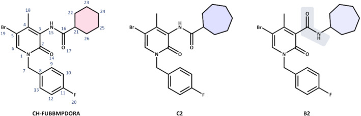 Comparison of the chemical structures of CH‐FUBBMPDORA (with assigned numbering as discussed throughout this article), N‐(5‐bromo‐1‐(4‐fluorobenzyl)‐4‐methyl‐2‐oxo‐1,2‐dihydropyridin‐3‐yl)cycloheptanecarboxamide (C2) and 5‐bromo‐N‐cycloheptyl‐1‐(4‐fluorobenzyl)‐4‐methyl‐2‐oxo‐1,2‐dihydropyridine‐3‐carboxamide (B2).