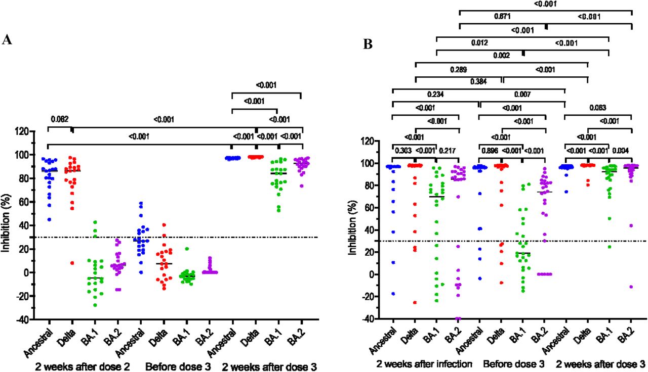 Neutralizing antibodies against SARS-CoV-2 ancestral strain and VOCs (Delta, BA.1 and BA.2) in individuals with and without prior breakthrough Delta variant infection measured at different time points prior to booster vaccination and at week 2 post booster dose. Horizontal dot lines indicate assay cut-off. Numbers indicates p values.