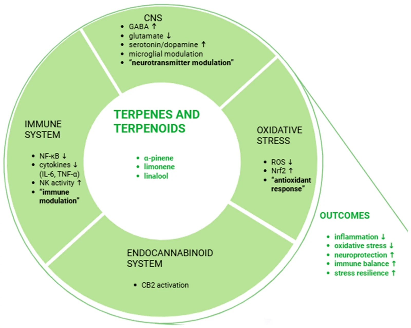 Multi-target effects of terpenes and terpenoids on stress-related pathways. The figure summarizes key pathways potentially modulated by terpenes and terpenoids in the context of chronic stress, including immune and inflammatory signaling (NF-κB, pro-inflammatory cytokines, NK-cell activity); oxidative stress and antioxidant responses (ROS, Nrf2); central nervous system (GABAergic, glutamatergic, serotonergic, and dopaminergic signaling) and microglial activity; and endocannabinoid-related pathways, including CB2-associated signaling. These interconnected mechanisms may contribute to outcomes relevant to stress-related disorders, including reduced neuroinflammation and oxidative stress, improved immune balance, enhanced neuroprotection, and increased stress resilience.