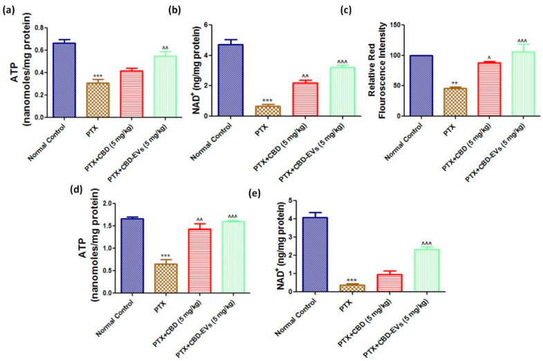 Effect of CBD and CBD-EVs on Mitochondrial Function and mitochondrial membrane potential (ΔΨm). (a) Representative bar graphs showing the ATP levels in Fresh DRG homogenates and (d) spinal homogenates of PTX-treated mice, (b) bar graph showing NAD+ levels in DRG homogenates and (e) in spinal homogenates of PTX-treated mice, (c) Bar graph represents the JC1 trimer aggregates relative red fluorescence intensity. Values are expressed as mean ± SEM (n = 3). ** p < 0.01 and *** p < 0.001 vs. Normal control, ^ p < 0.05, ^^ p < 0.01 and ^^^ p < 0.001 vs. PTX (8 mg/kg). NC: untreated age-matched mice, PTX: mice received (8 mg/kg/day) on alternate days for four injections cumulatively, PTX + CBD (5 mg/kg): 5 mg/kg CBD (i.p.) injected twice a week for six weeks after the last PTX injection, PTX + CBD-EVs: 5 mg/kg of CBD loaded in hUCMSCs-derived EVs (i.p.) injected twice a week for six weeks after the last dose of PTX injection.
