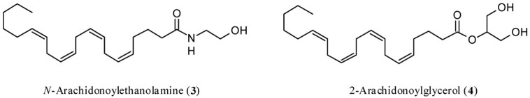 Chemical structures of N-arachidonoylethanolamine (anandamide, AEA, 3) and 2-arachidonoylglycerol (2-AG, 4).