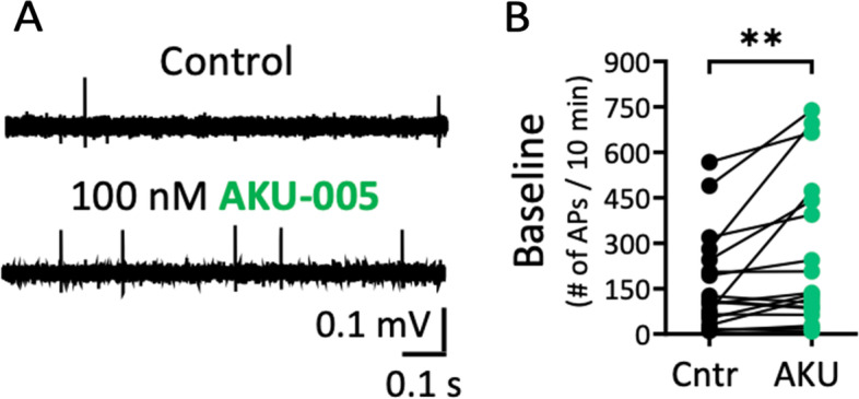Effect of dual MAGL-FAAH inhibitor AKU-005 on rat meningeal fibres. A Example traces of control basal and AKU-005 (100 nM) induced activity in rat meningeal fibres. B Statistics show lightly increased general excitability in the presence of AKU-005 as evidenced by an increasing number of APs for the 10-min application window in the presence of AKU-005 (AKU) (N = 19, Wilcoxon test) compared to the control condition (Cntr) (N = 19, Wilcoxon test, ** = 0.002)