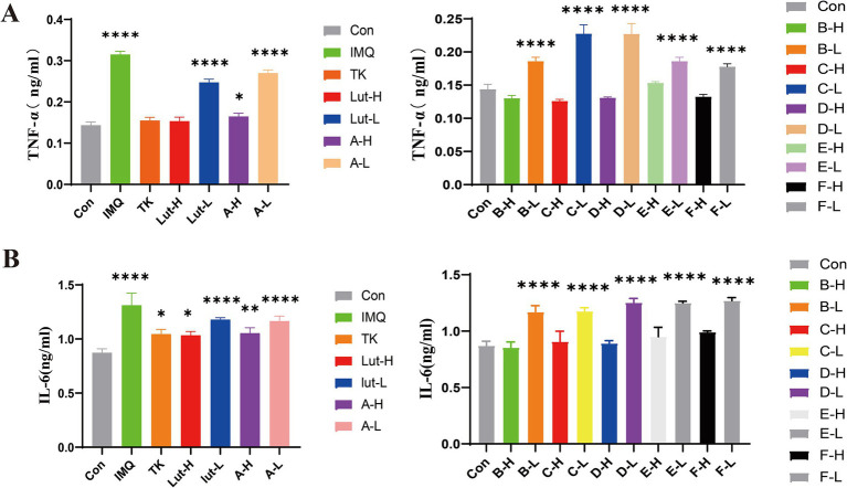 (A): TNF-α at the back skin of mice Protein expression content, (B): IL-6 at the back skin of mice Protein expression content. (****) p < 0.0001 and (*) p < 0.05 versus control group.