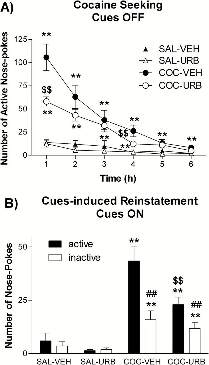 Experiment 1: effects of chronic URB597 treatment on cue-induced reinstatement. (A) Cocaine seeking in a 6h extinction session without cocaine-paired cues and (B) cue-induced reinstatement with reintroduction of the cues in rats administered daily with URB597 (0.3mg/kg i.p.) or vehicle during a 28-day period of abstinence. Note that for reasons of clarity inactive nose-poke responses in A are not shown. Three-way ANOVA followed by Student-Neuman-Keuls post hoc test, **p < 0.01 master cocaine different from yoked saline control, $$p < 0.01 URB-treated different from vehicle-treated control, ##p < 0.01 active different from inactive nose-pokes.