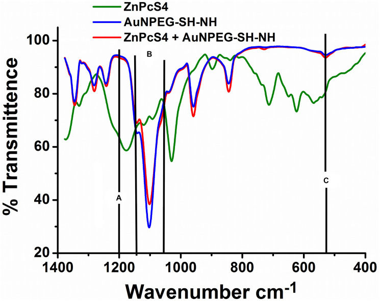 FTIR spectral analysis confirming ligand exchange (Au-S) and absorption (S-S) bond formation between AuNPPEG-SH-NH2 and ZnPcS4 within the FNBC.(A) C-S (1200 cm–1 Sharp): Au-S ligand exchange bond bond formed as ZnPcS4 PS lost its C-S groups to form a Au-S bond with the AuNPs, (B) C-S (1050–1200 cm–1 Stretch): Au-S ligand exchange bond formed as AuNPs PS lost its C-S groups to form a Au-S bond with ZnPcS4 PS and (C) S-S (500–540 cm–1 Bend): Disulphide (SS) bond formed due to ligand absorption between the sulphonated ZnPcS4 PS and AuNPPEG5000-SH.