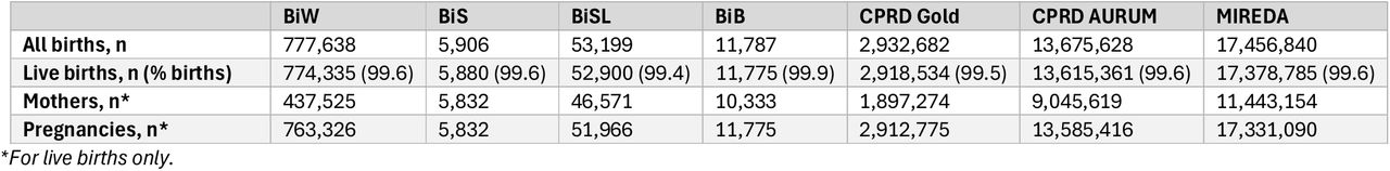 Breakdown of birth cohorts by births, mothers, and pregnancies.