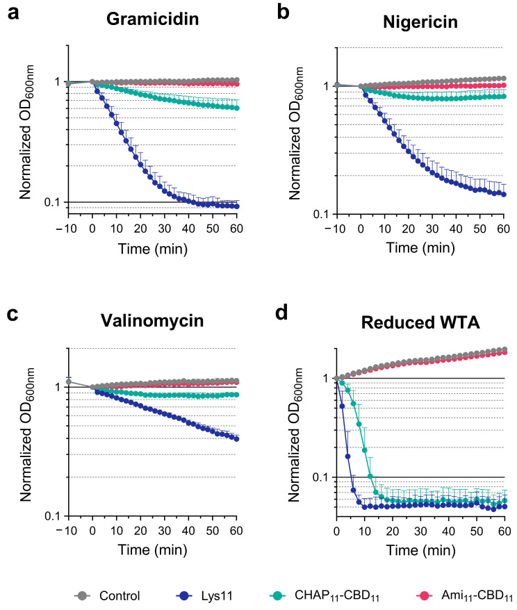 The catalytic domains of Lys11 respond differently to cell tolerance signals. Cells of strain RN4220 in TSBca were treated with gramicidin (a), nigericin (b) or valinomycin (c). Following ionophore treatment, 100 nM of the indicated proteins were added, and cell lysis was monitored. (d) Cells of strain RN4220 grown in presence of tunicamycin were collected in TSBca, they were challenged with 100 nM of the indicated proteins, and then cell lysis was similarly monitored. In each panel, the “Control” curves correspond to cells with ionophore or tunicamycin only (no protein added). Each curve represents means ± standard deviation from at least 4 independent experiments. For clarity, only the mean + standard deviation is represented.