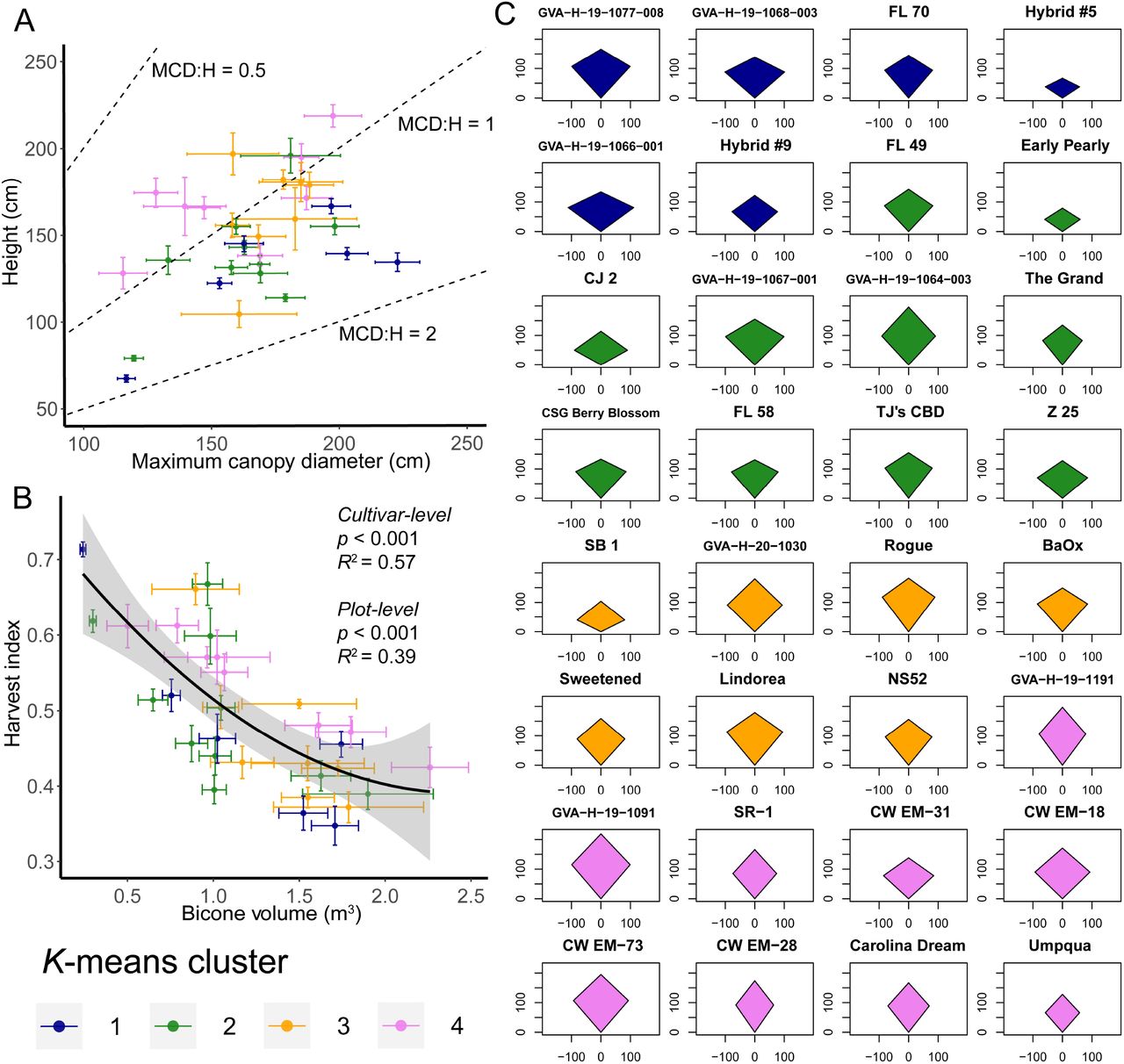 Variation in plant architecture within and among high-cannabinoid hemp cultivars. (A) plot of maximum canopy diameter (MCD) versus height where points are cultivar means and error bars are the standard error of the mean. Dashed lines indicate MCD to height ratios of 0.5, 1, and 2. (B) Second-degree polynomial regression of harvest index on bicone volume where points are cultivar means and error bars are the standard error of the mean. (C) Average kite models by cultivar contrasted from MCD, height, and the height of the maximum canopy diameter (MCDH). Colors in all panels indicate the k-means cluster to which that a cultivar belongs based on the proportions of dry biomass in each biomass section.