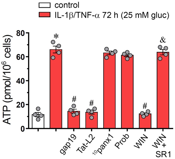 WIN mitigates the connexin 43 (Cx43) hemichannel-dependent release of ATP evoked by high glucose and IL-1β/TNF-α in endothelial cells. Averaged data of ATP release from EAhy cells treated for 72 h with 5 mM glucose (control, white bar), 25 mM glucose, and IL-1β/TNF-α (black bars) alone or in combination with the following agents: 100 µM gap19, 100 µM Tat-L2, 100 µM 10panx1, 500 µM probenecid (Prob), 5 µM, WIN and/or 5 µM SR-141716A (SR1). *p < 0.05, IL-1β/TNF-α and high glucose compared to control; #p < 0.05, effect of each agent compared to the effect induced by IL-1β/TNF-α and high glucose; &p < 0.05, effect of each cannabinoid receptor antagonist compared to the effect of the respective cannabinoid (one-way analysis of variance followed by Tukey’s post hoc test). Data were obtained from at least three independent experiments (see scatter dot plot) with four repeats each one.