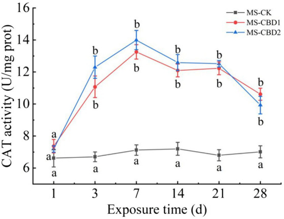 Effects of carbendazim stress on catalase activity of earthworm in the manured soil. The different letters above the curves indicate a significant difference (p < 0.05) based on variance analysis. The error bars represent the standard errors of the mean of triplicate samples.