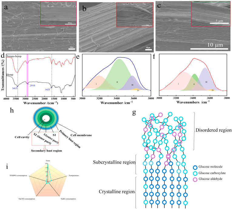 Characterization of properties and model plots. SEM plots ((a). industrial hemp staple fiber; (b). industrial hemp staple fiber after oxidation by the optimum process; (c). industrial hemp staple fiber under similar conditions without oxidizing agents); (d). FTIR plots; Gaussian peak fitting and sub-peak distributions at 3000–3800 cm−1 ((e). industrial hemp staple fiber; (f). industrial hemp staple fiber after oxidation by the optimum process); (g). microfilament models. (h). Schematic diagram of the spatial structure of hemp fiber microfibrils. (i). Effect of the conversion rate by factors.