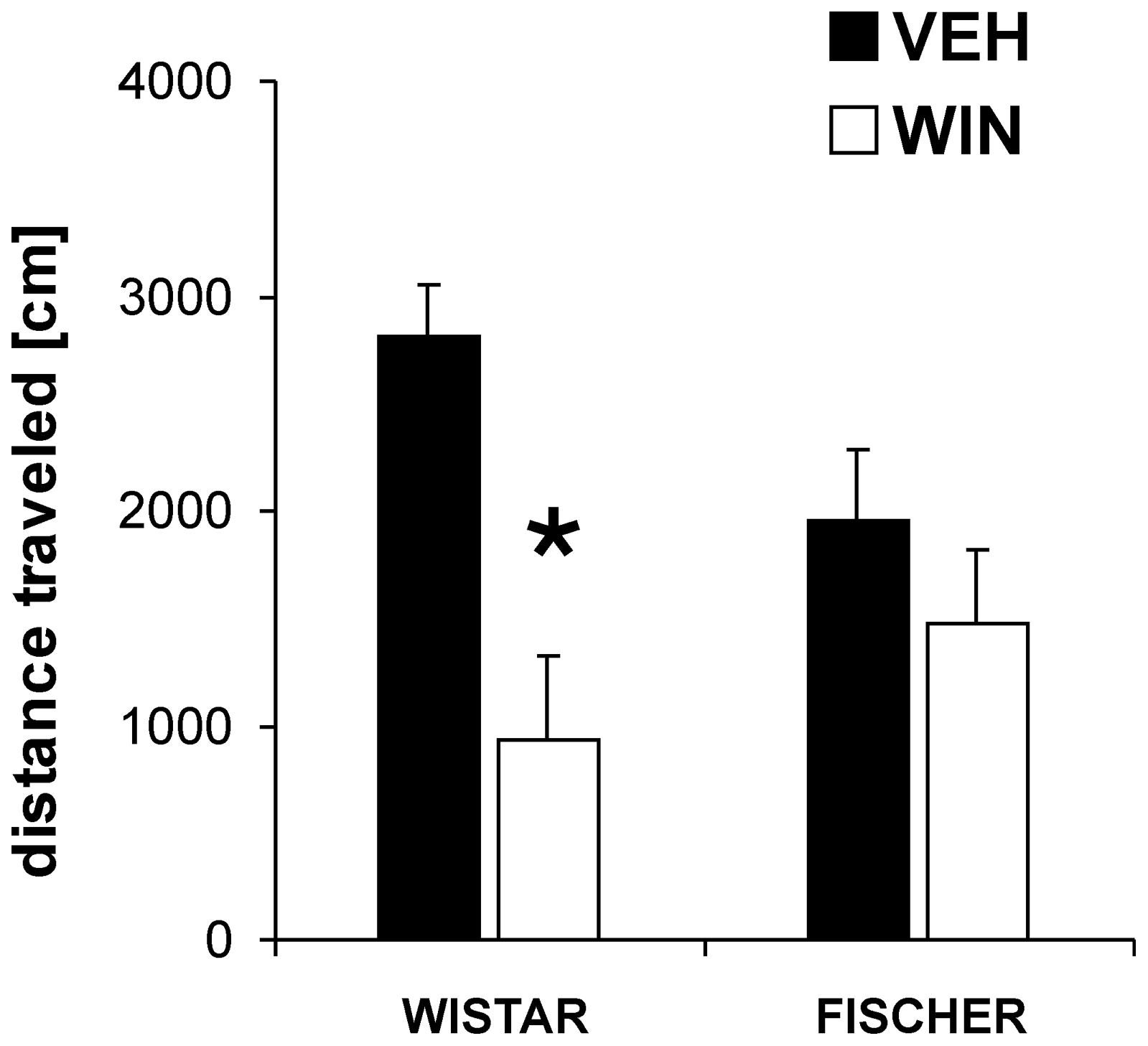 Strain specific effects of the cannabinoid receptor agonist WIN 55,212-2 (WIN) on locomotor activity.Wistar and Fischer rats did not differ significantly in their basic locomotor activity. However, an acute injection of WIN (2 mg/kg) had a stronger inhibitory effect on distance traveled in Wistar than in Fischer rats. Values are expressed as means ± SEM (p<0.05 is indicated by asterisks).