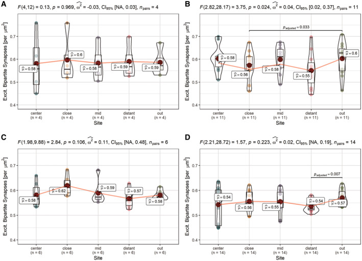 Altered synapse density distributions in domains of APs and TAs. Distribution analysis of single astrocyte cohorts shows unchanged distributions in domains of internal control astrocytes (PSP_CA/CBD_CA donors, AT8‐) and significant differences in the overall distribution in CBD_APs, respective significant between‐bin‐differences to the outermost part around PSP_TAs and CBD_APs approximating a normal synapse density. (a–d) Pair‐wise comparisons of synaptic density among predefined sites within cohorts of astrocyte classes in the fCtx of PSP and CBD subjects. PSP_CA (a), PSP_TA (b), CBD_CA (c), and CBD_AP (d). Graphs show combined box‐violin plots. Small colored dots represent values of single domains at this site, while larger colored dots depict the calculated mean (mean values indicated as boxed labels). Boxed labels provide information on the mean (µ). Assuming a normal distribution, Fisher’s repeated measures one‐way ANOVA was used to estimate F‐values, p values, to determine the effect size (ω 2) and range of the confidence interval (CI95%) given a certain samples size (n), as indicated in the caption of each frame. T‐testing with Holm–Sidak adjustment was applied for pairwise comparison. Adjusted p values of between‐bin‐comparisons are specified as decimals within each of the graphs