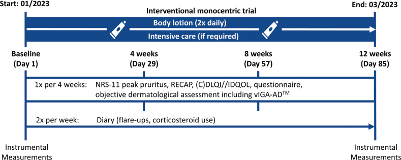 Trial design of the 12-week monocentric trial.