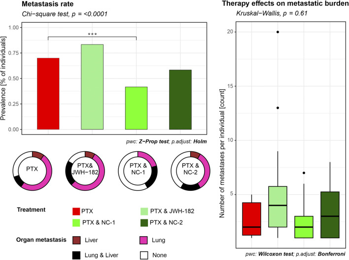 Bar and box plot comparing the effects of different treatments on metastasis. The left chart shows metastasis rate with significance indicated by asterisks (p < 0.0001). The right chart shows therapy effects on metastatic burden (p = 0.61). Pie charts illustrate organ metastasis distribution. Treatments include PTX, PTX with JWH-182, PTX with NC-1, and PTX with NC-2. Colors represent treatment types and organ metastasis, with liver, lung, and lung and liver categories. Statistical tests include Chi-square, Z-Prop (Holm adjustment), and Wilcoxon (Bonferroni adjustment).