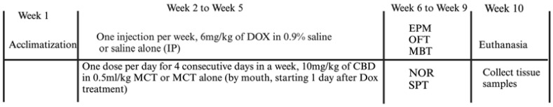 Experimental timeline. After acclimatization, rats were injected intraperitoneally with DOX (6 mg/kg) or the vehicle. Beginning the day after injection, rats received either CBD (10 mg/kg in MCT oil; 4 consecutive days each week; oral route) or MCT oil alone (0.5 mL/kg) for 4 consecutive weeks. Behavioral tests were conducted serially over 4 weeks (in the order shown from top to bottom), beginning one week after experimental treatments concluded. At the end of the study, rats were euthanized, and brain tissue samples were collected for qPCR assay at week 10. DOX—doxorubicin; CBD—Cannabidiol; MCT—Medium-Chain Triglyceride; IP—intraperitoneal; EPM—Elevated Plus Maze; OFT—Open Field Test; NOR—Novel Object Recognition; MBT—Marble Burying Test; SPT—Sucrose Preference Test.