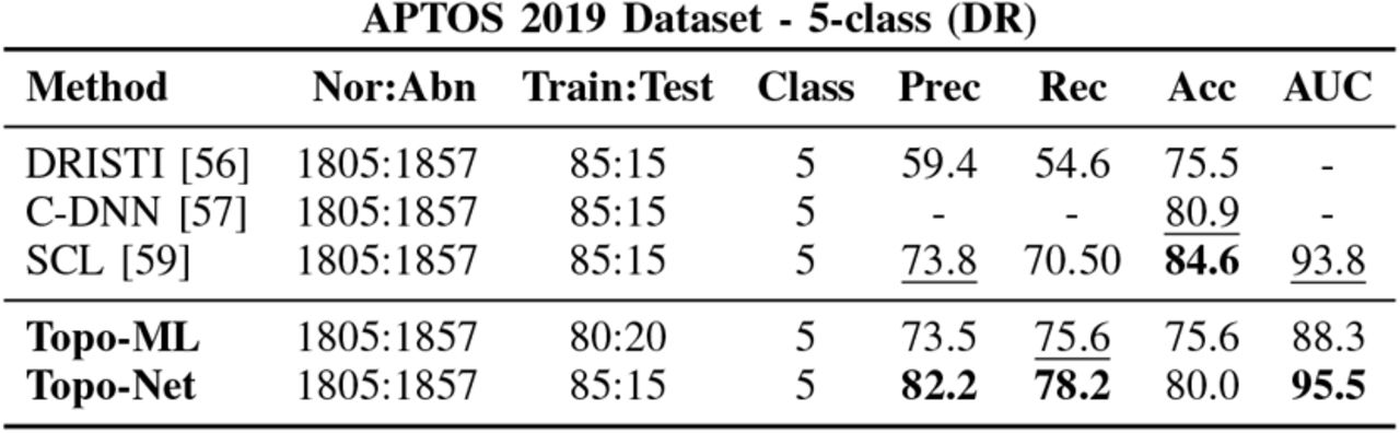 Accuracy results for multiclass DR diagnosis.