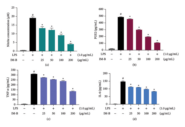 Effects of IM‐B extract on the production of inflammatory mediators and cytokines in LPS‐stimulated RAW 264.7 cells. Cells were pretreated with IM‐B extract (25, 50, 100, and 200 μg/mL) for 1 h followed by an LPS treatment (1.0 μg/mL) for 18 h. (a) Effect of IM‐B on LPS‐induced NO production. The amount of NO produced was measured using the Griess assay. The effect of IM‐B extract on proinflammation (b) PGE2 and cytokines (c) TNF‐α and (d) IL‐6 levels was assessed using an ELISA kit. Graphs show the mean ± SD values of data recorded in triplicates (n = 3). ∗ p < 0.05 indicates significant differences from the LPS group. # p < 0.05 indicates significant differences from the untreated group.