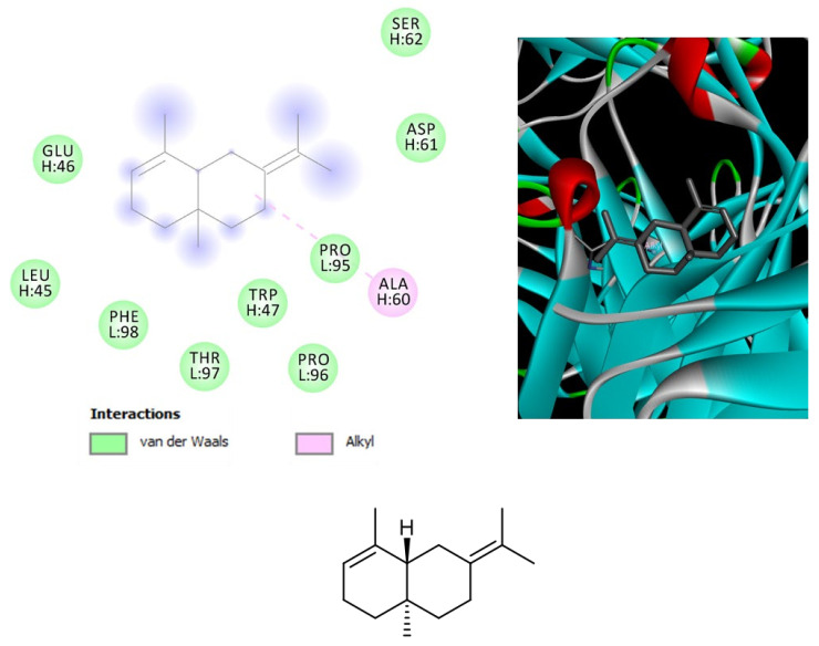 Structure and in silico interactions between selina-3,7(11)-diene and cannabinoid CB2 receptor (CB2; PDB: 2HFF). Free energy of binding (ΔG) and affinity (Ki) are −6.2 kcal/mol and 28.9 µM, respectively.