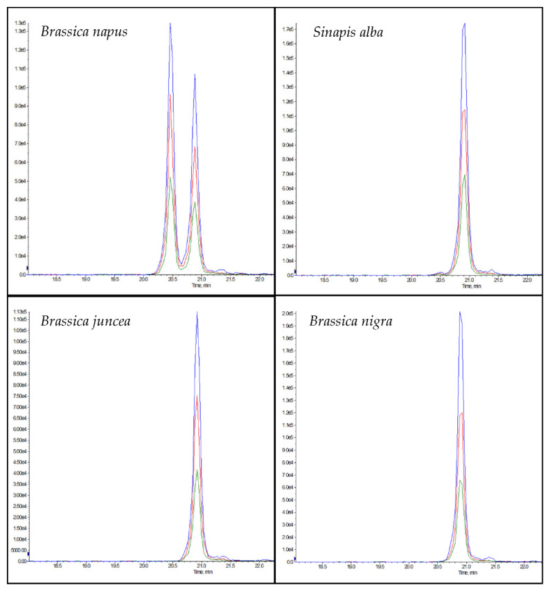Chromatograms of the peptides NLRPFLIAGNNPQGQQWLQGR (rapeseed 1, RT: 22.5 min) and NLRPFLLAGNNPQGQQWLQGR (isomer to rapeseed 1, tR: 22.9 min) in the different pure plant flours of rapeseed (Brassica napus), white mustard (Sinapis alba), brown mustard (Brassica juncea), and black mustard (Brassica nigra).