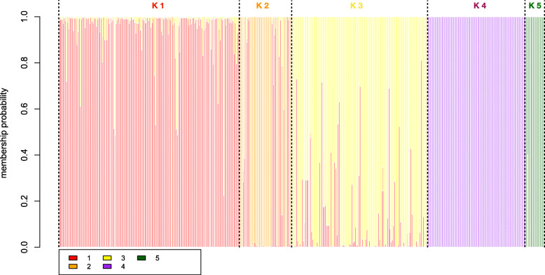 Discriminant analysis of principal component (DAPC) genotype composition plot. Showing the membership probability of each individual’s (columns) assignment of genotype to each clusters K1 – K5. Mis-assigned individuals can easily be identified as well as F1 hybrids with mixed genotypes