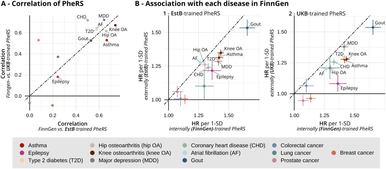 PheRS validation in FinnGen.Panel A: Correlation (Persons’ r) between the internally-trained PheRS in FinnGen and the externally-trained PheRS, tested in FinnGen. Externally-trained PheRS were trained in 50% of individuals in UKB (y-axis) and EstB (x-axis). Panel B: Association of FinnGen internally-trained PheRS with each disease compared to the externally-trained models. HRs and 95% CIs of the FinnGen-trained PheRS (x-axis) vs. the externally-trained PheRS (y-axis), with EstB on the left and UKB on the right. The HRs are shown for a 1-SD increase of the PheRS after regressing out age and sex.