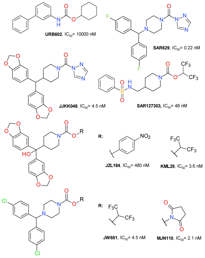Representative irreversible MAGL inhibitors.