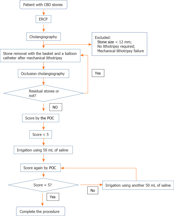 Protocol of evaluation and irrigation procedures. CBD: Common bile duct; ERCP: Endoscopic retrograde cholangiopancreatography; POC: Peroral cholangioscopy.