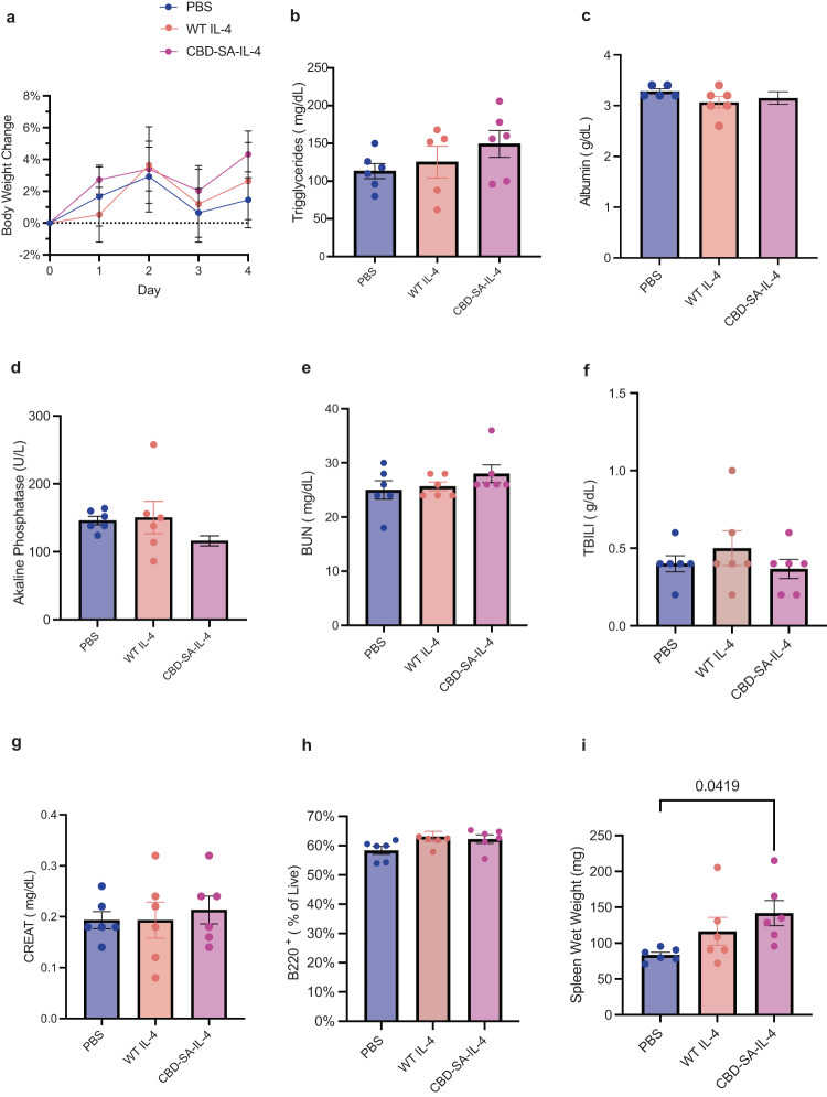 CBD-SA-IL-4 (100 µg/ mL IL-4 equivalent) does not show toxicity after a single subcutaneous administration.a Percent change in body weight over four-day time course. b Serum triglyceride levels two days post treatment. c Serum albumin levels two days post treatment. d Serum alkaline phosphatase level two days post treatment. e Serum blood urea nitrogen (BUN) levels two days post treatment. f serum total bilirubin (TBILI) levels two days post treatment. g Serum creatinine (CREAT) levels two days post treatment. h B Cells (B220+) in blood two days post treatment. i Spleen wet weight four days post-treatment. Statistics: Ordinary one-way ANOVA with Tukey multiple comparisons test was used. *p < 0.05, **p < 0.01, ***p < 0.001 (all groups n = 6; mean ± SEM).