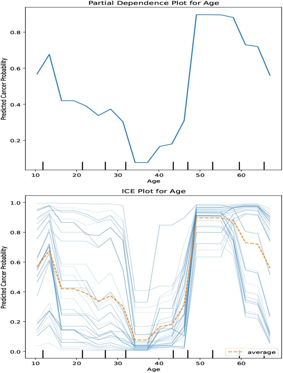 With reference to features in Figure 10, the PDP and ICE plots have been generated for feature Age. PDP shows the cancer probability plot for patients with age 38 vs. ICE plot shows the probability of multiple patients as age varies with other feature values as constant.