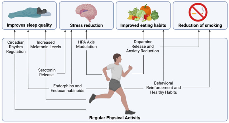 Main effects through which physical activity can influence other key healthy lifestyles for chronic pain.
