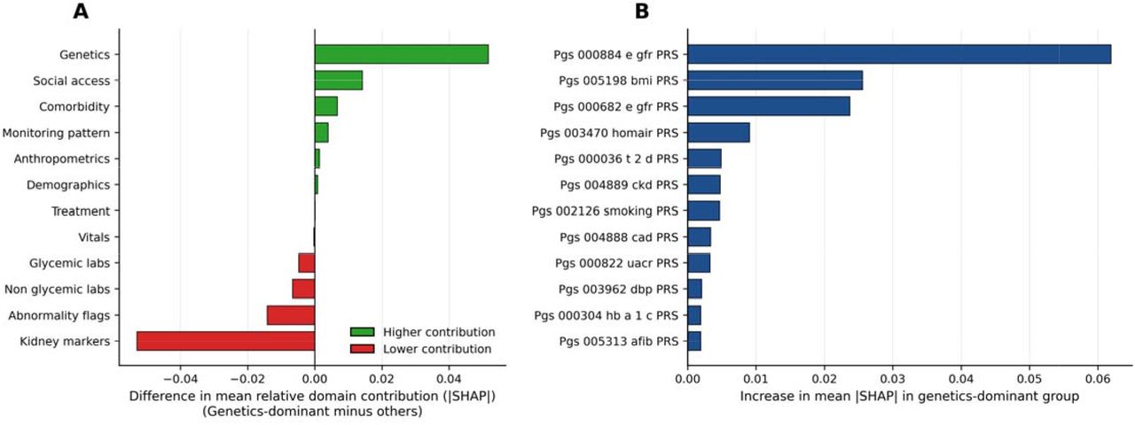 Genetic dominance phenotype and polygenic drivers of model contribution at the 1-year landmark.(a) Difference in mean fractional absolute SHAP contribution across feature domains comparing genetics-dominant individuals (top 20% by relative genetic contribution in M5) with all others. Positive values indicate domains contributing more strongly among genetics-dominant individuals. Genetic features showed the largest relative enrichment, while care intensity and kidney markers contributed less, indicating that genetic information is preferentially leveraged when the downstream clinical signal is sparse.(b) Individual polygenic risk scores ranked by increase in mean absolute SHAP value among genetics-dominant individuals relative to others. Renal function and metabolic PRS — including eGFR (PGS000884, PGS000682) and BMI (PGS005198) — showed the largest incremental contribution, identifying specific genetic pathways that drive risk stratification in this subgroup.BMI, body mass index; eGFR, estimated glomerular filtration rate; HOMA-B, homeostatic model assessment of beta-cell function; HOMA-IR, homeostatic model assessment of insulin resistance; PRS, polygenic risk score; SHAP, SHapley Additive exPlanations; T2D, type 2 diabetes; UACR, urine albumin-to-creatinine ratio.