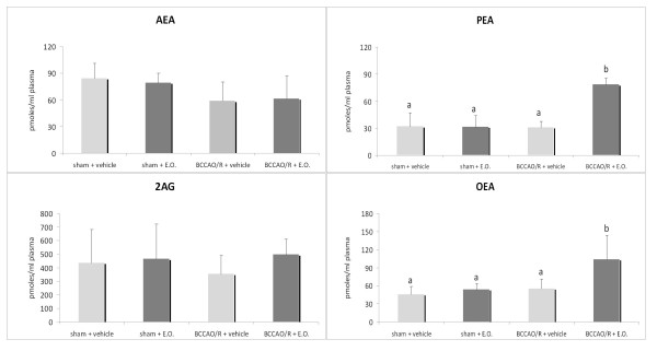 AEA, PEA, OEA and 2-AG concentrations, expressed as pmoles/ml, in plasma of rats submitted to sham operation and to BCCAO/R, pre-treated either with the vehicle alone or with the E.O.. Error bars depict standard deviation. Different letters denote significant differences (p < 0.05).