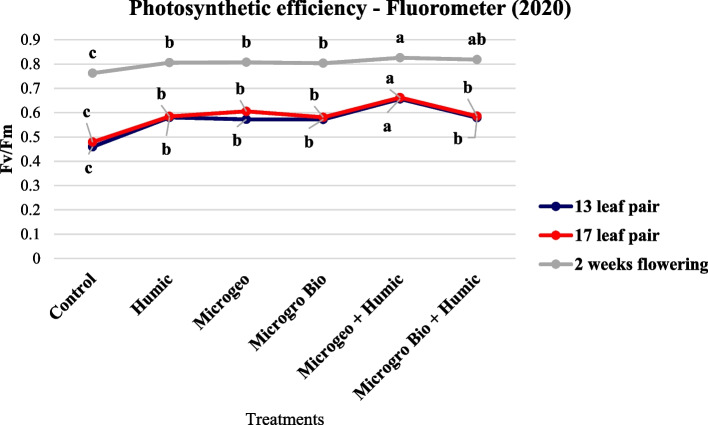 Cannabis photosynthetic efficiency readings collected in 2020 at three growing stages (13, 17, and 2 weeks flowering). Mean within each dot above the treatment followed the same letter by the same growth stage is not significantly different at the 0.05 probability level
