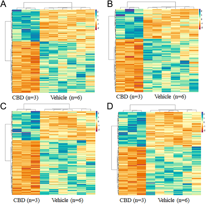 Heatmap Of DE Genes from Clustering Analysis. A) Regulation Of Cellular and Metabolic, B) Cellular Signaling and Response to Stimuli, C) Developmental and Morphogenic Processes, D) Protein Phosphorylation and Phosphorous/Phosphate Containing Compound Metabolism. Functional enrichment analysis was carried out using g:Profiler (version e109_eg56_p17_1d3191d) with a g:SCS threshold of 0.05. Clustering of the top 50 enriched GO:BP terms ranked by adjusted P-value found four distinct clusters of terms. The log2 normalized CPM values for all DE genes found within the enriched terms for each respective cluster were visualized using the pheatmap R package. Values were centered and scaled across rows for comparison, and clustered using Ward’s clustering algorithm.