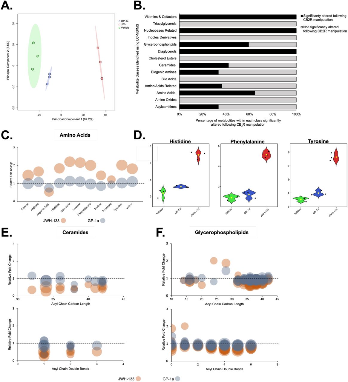 CB2R signalling alters T cell metabolome.(A) PCA score plot for the samples assessed via LC-MS/MS following cannabinoid treatment. R2 = 0.947 and Q2 = 0.866. (N = 3, n = 3). (B) Bar chart depicting the different metabolite classes altered in Jurkat T cells following 24 h CB2R manipulation, as assessed via Quant500 LC-MS/MS. (C) Significantly altered amino acids in Jurkat T cells following CB2R manipulation, plotted relative to vehicle-treated cells. Dot size is proportional to their degree of significance (-log(adj. p value)). (D) Significantly altered amino acids associated with the PPP. (E) Significantly altered ceramides in Jurkat T cells following CB2R manipulation, plotted relative to vehicle-treated cells. Dot size is proportional to their degree of significance (-log(adj. p value)). Ceramides are plotted according to acyl chain carbon length and acyl chain double bond number, respectively. (F) Significantly altered glycerophospholipids in Jurkat T cells following CB2R manipulation, plotted relative to vehicle-treated cells. Dot size is proportional to their degree of significance (-log(adj. p value)). Glycerophospholipids are plotted according to acyl chain carbon length and acyl chain double bond number, respectively.